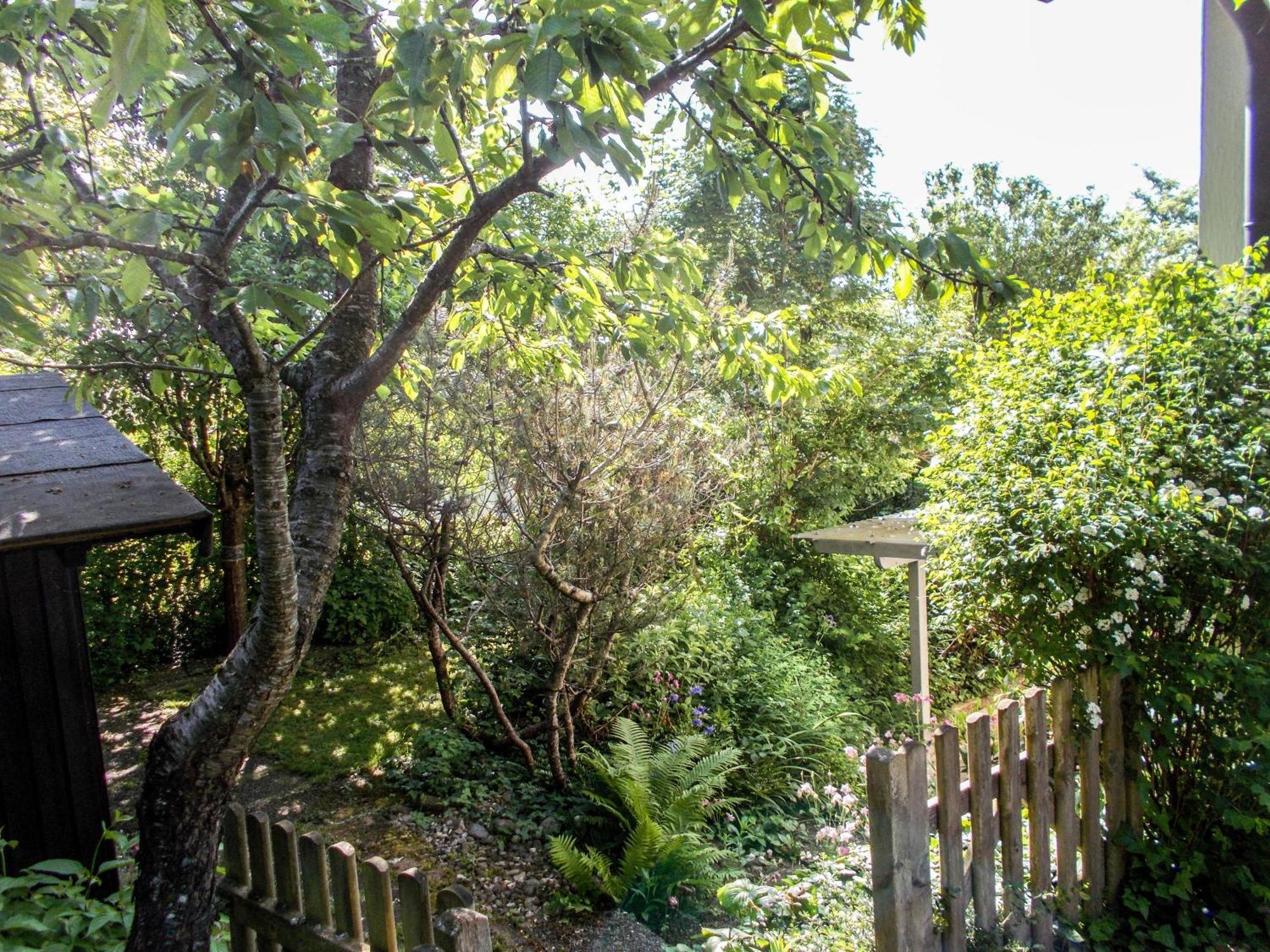 Im Herzen Der Natur Herdwangen-Schönach Exteriér fotografie